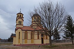 Sacred Linden Tree in Čepure, municipality Paraćin, Serbia