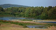 Naturschutzgebiet im Polder des Rückhaltebeckens