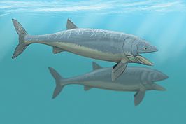 Leedsichthys