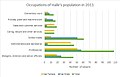 Occupations of the people of Haile in 2011.[1]