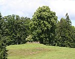 Tössegg, mittelalterliche Burgruine