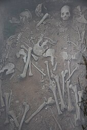 Pit with human skeletons