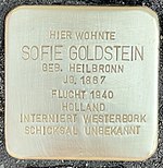 Stolperstein für Sofie Goldstein (Dreikönigenstr. 28)