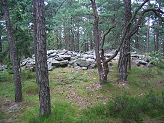 Holtekjæråsen, Tjøme. Foto: Karl Ragnar Gjertsen