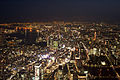 Image:Tokyo aerial night.jpg (Arthena proposed putting this in place of Tokyo 2006)