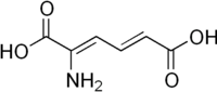 Skeletal formula of 2-aminomuconic acid