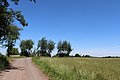 Das Grabhügelfeld auf der Freiheit am Keltenweg auf dem Höhenrücken bei Bruttig-Fankel/Mosel