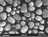 Resolution test specimen of gold particles on carbon in ESEM, at high magnification. Field width 1.2 μm