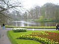 Keukenhof bei Lisse