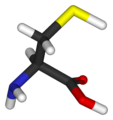 cysteine