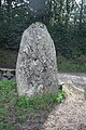 Menhir von Paumerou