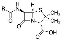 Algemene structuur van penicilline