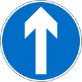 Proceed straight only