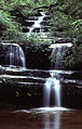 Terrace Falls, on the south side of Hazelbrook