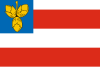 Flag of Brno-Nový Lískovec