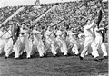 The band in sports uniforms.