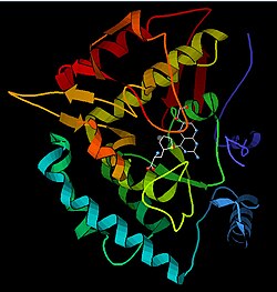 Phenylalaninhydroxylase