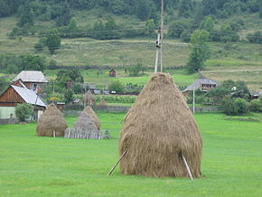 Peisaj rural (Lunca Bradului)