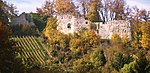 Ruine Vorderer Wartenberg