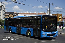 114-es busz a Móricz Zsigmond körtéren