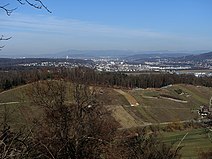 Ruine Münchsberg, Aesch, Basel-Land, Schweiz