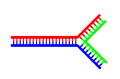 A DNA structure with a single branching point.