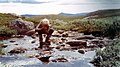 Erfrischung auf einer Fjelltour