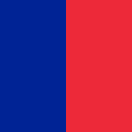 Paris şehrinin bayrağı