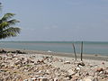 Barra, von Banjul aus gesehen