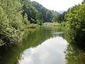 Area naturale del " Lago del Vaglio" in località Sarugi. Oasi protetta per la fauna.