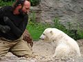 Knut am 31.05.2007