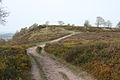 High point on which the earthworks are located, viewed from the south on the plateau