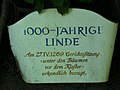 Legende an der „1000-jährigen Linde“