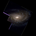 Hochaufgelöste Hubble-Aufnahme des Zentrums von NGC 3338