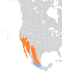 Mapa występowania