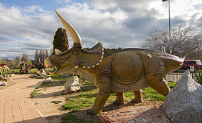 Triceratops-Modell