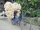 Cracker vender bicycle (sepeda karak) in North Jakarta, Indonesia
