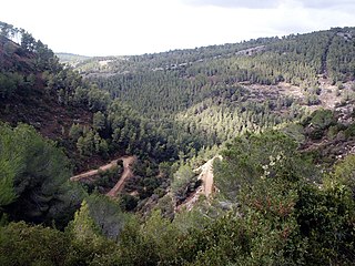 Nahe Jerusalem, 2008