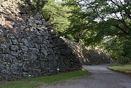 Burgmauer