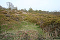 View between the two ramparts; this is at the SW end