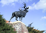 Monchy-le-Preux Newfoundland Memorial