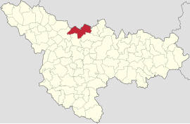 Location in Timiș County