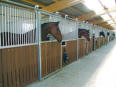 Freestanding stalls built inside a single large building