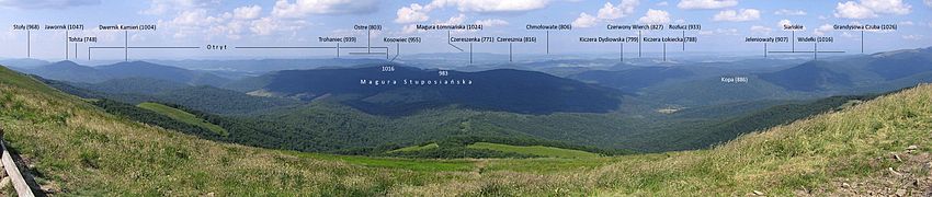 Panorama z wierzchołka 1239 m na północ