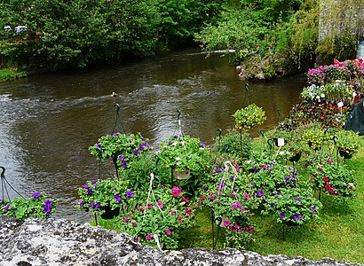 Blumenshow Les Floralies im Mai