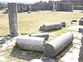 Colonne nella città di Salona