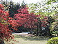 Urakuen Tee Garten - Herbst