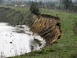 Op de steile zandwanden langs de oevers kunnen de zeldzame oeverzwaluwen ieder voorjaar hun nestgangen uitgraven