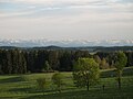 Feldkreuz bei Oberschwanden