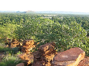 Kununurra vom Aussichtspunkt im Mirima-Nationalpark aus